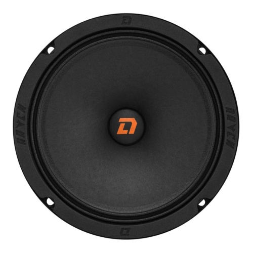 DL Audio Raven 165