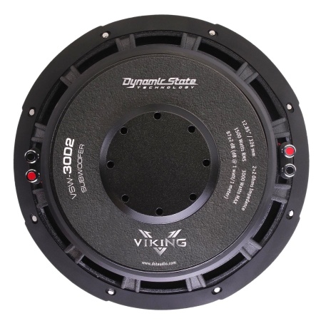 Dynamic State VIKING VSW-30D2  сабвуфер