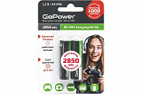 Аккумулятор GoPower MH1100AAA