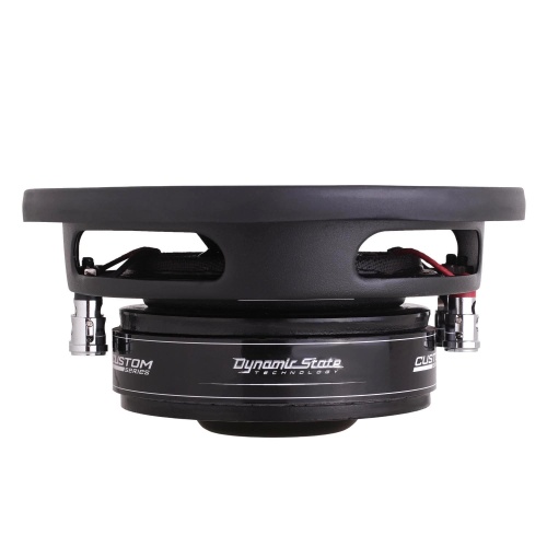 Dynamic State CSW-S16 сабвуфер