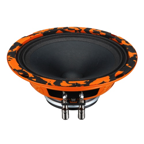 DL Audio Gryphon Pro 165 Neo