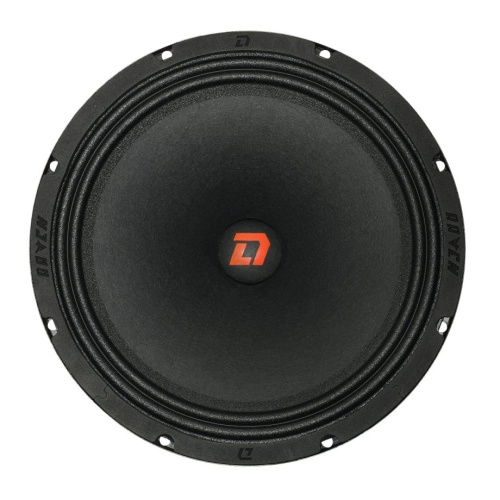 DL Audio Raven 250