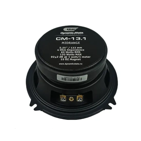 Фото dynamic state cm-13.1 custom Dynamic State CM-13.1 CUSTOM
