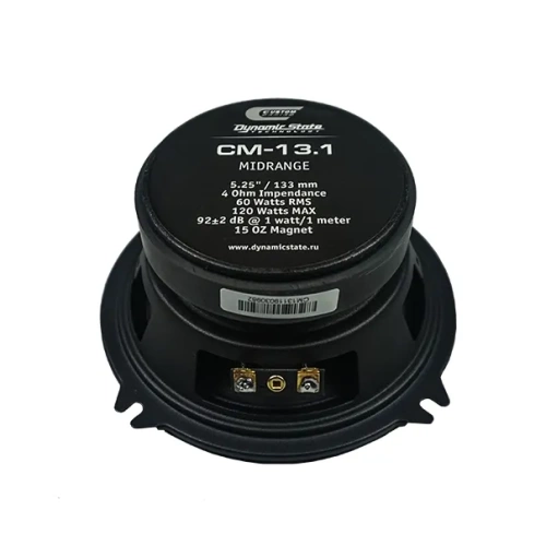 Фото dynamic state cm-13.1 custom Dynamic State CM-13.1 CUSTOM