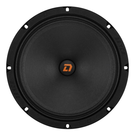 DL Audio Raven 200