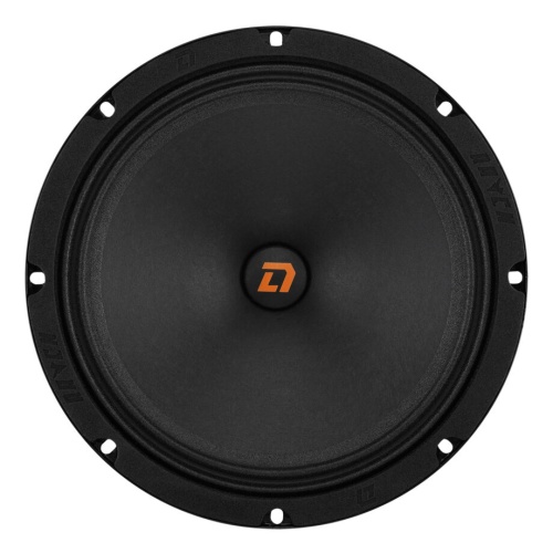Фото dl audio raven 200 DL Audio Raven 200