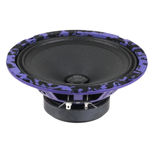 DL Audio Piranha 165