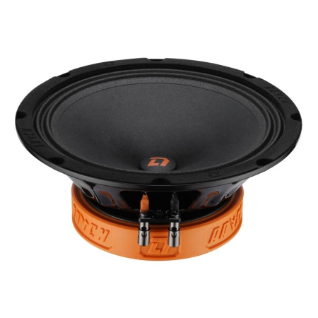 DL Audio Raven 200 V2