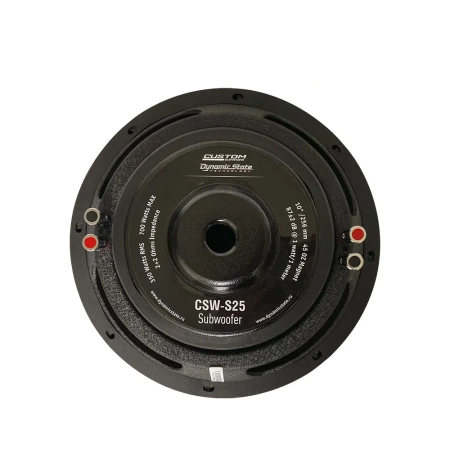 Dynamic State CSW-S25 сабвуфер 10
