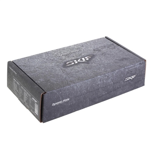Dynamic State SKIF SKA-700.1 усилитель
