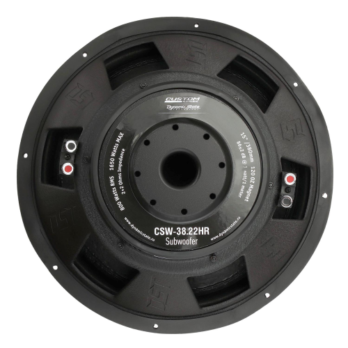 Dynamic State CSW-38.22HR CUSTOM Series сабвуфер 15