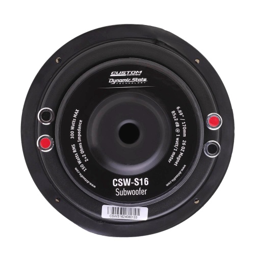 Dynamic State CSW-S16 сабвуфер