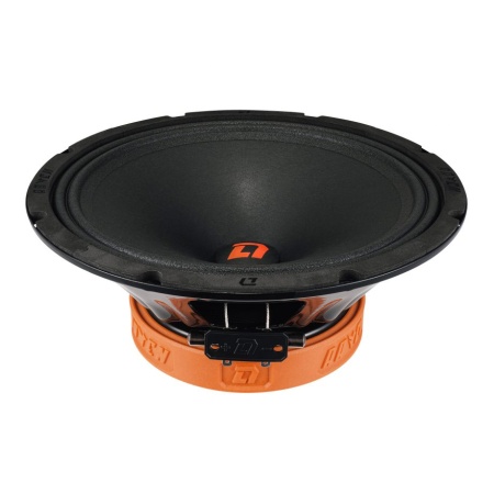 DL Audio Raven 250