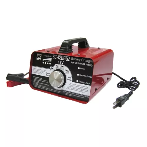 Зарядное устройство R-drive BC-12065Z Зарядное устройство R-drive BC-12065Z