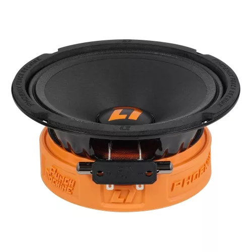 DL Audio Phoenix Punch Machine 165