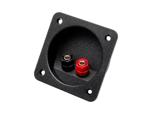 Aura WTB-168P терминал для подключения сабвуфера Aura WTB-168P терминал для подключения сабвуфера