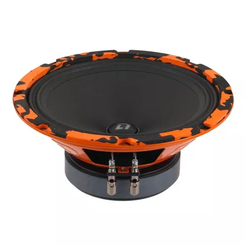 DL Audio Gryphon Pro 200 SE DL Audio Gryphon Pro 200 SE