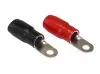 Aura ACN-R358 кольцо 2 GA клемма силовая Aura ACN-R358 кольцо 2 GA клемма силовая