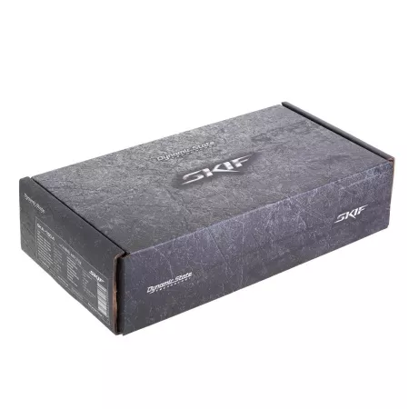Dynamic State SKIF SKA-150.4 усилитель