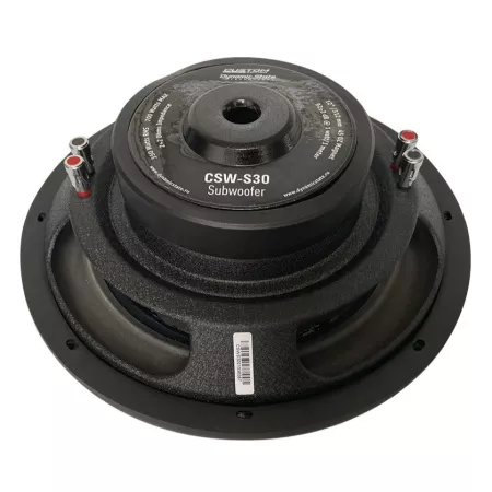 Dynamic State CSW-S30 сабвуфер