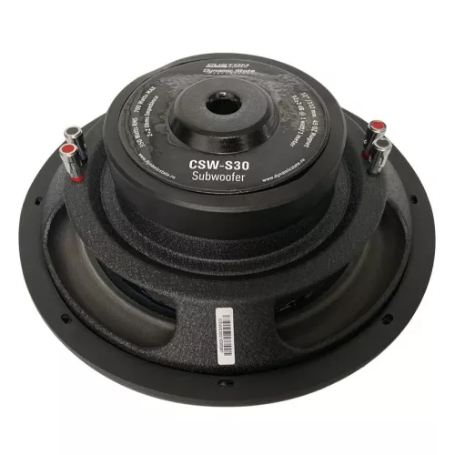 Dynamic State CSW-S30 сабвуфер