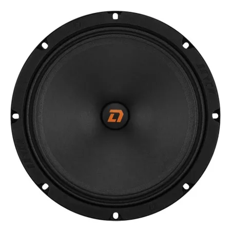 DL Audio Raven 200 V2