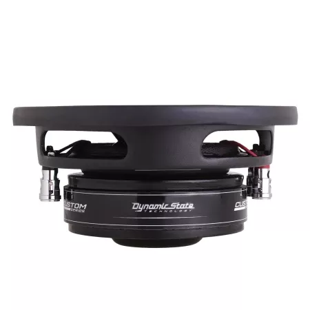 Dynamic State CSW-S16 сабвуфер