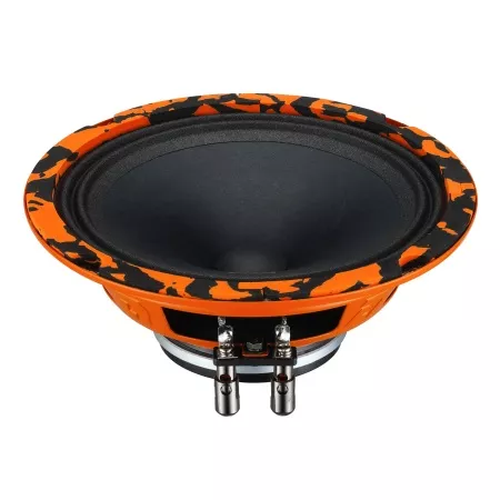 DL Audio Gryphon Pro 165 Neo