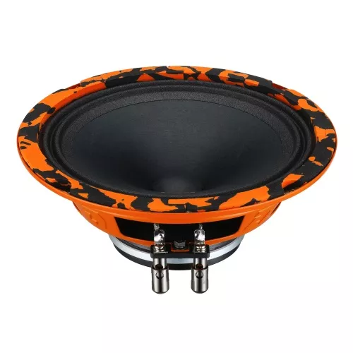 Фото dl audio gryphon pro 165 neo DL Audio Gryphon Pro 165 Neo