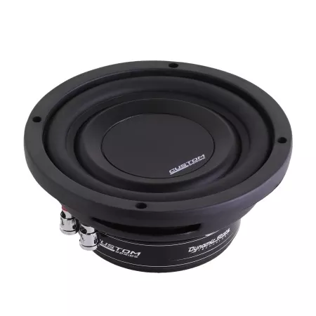 Dynamic State CSW-S16 сабвуфер