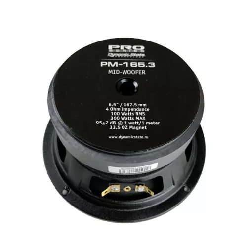 Фото dynamic state pm-165.3 pro Dynamic State PM-165.3 PRO