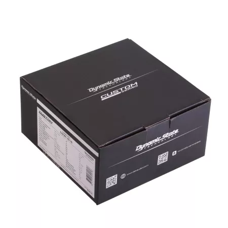 Dynamic State CSW-S16 сабвуфер