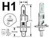 Лампа Луч 12V H1 55W (P14.5s)
