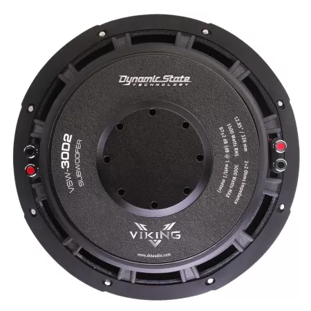 Dynamic State VIKING VSW-252  сабвуфер