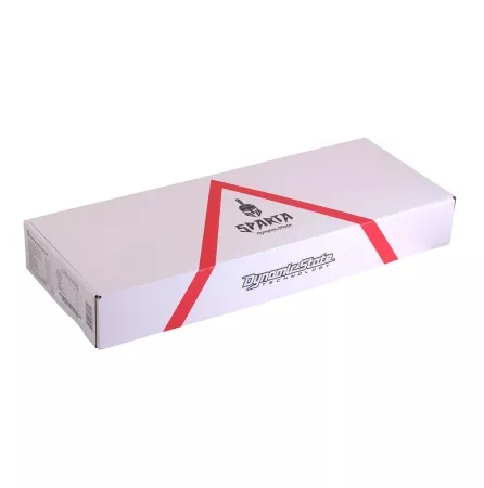 Dynamic State SPARTA SA500.2 усилитель