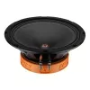 DL Audio Raven 200 V2