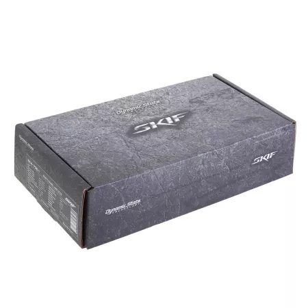 Dynamic State SKIF SKA-700.1 усилитель