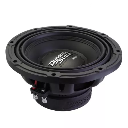 Dynamic State SKIF SKW-252 сабвуфер