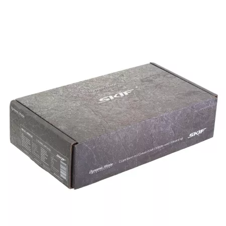 Dynamic State SKIF SKA-250.2 усилитель