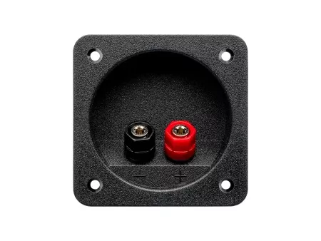 Aura WTB-168P терминал для подключения сабвуфера