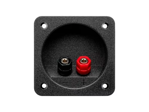 Фото aura wtb-168p терминал для подключения сабвуфера Aura WTB-168P терминал для подключения сабвуфера