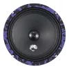 DL Audio Piranha 165