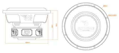 DL Audio Gryphon Pro 10 SE v.2 сабвуфер
